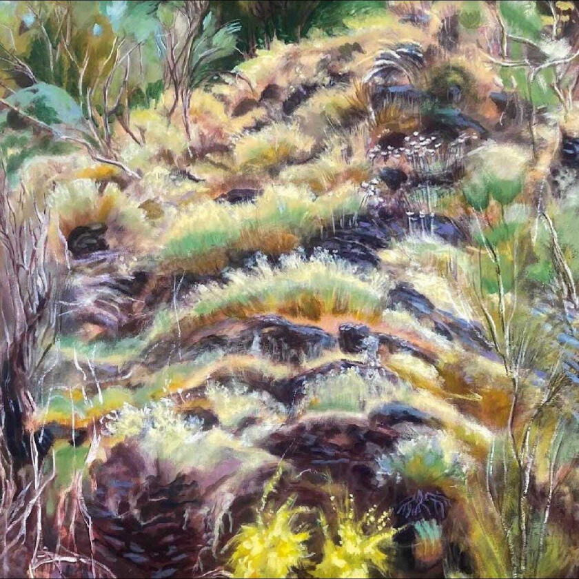 Swim Surreal In The Half Light LP/Vinyl