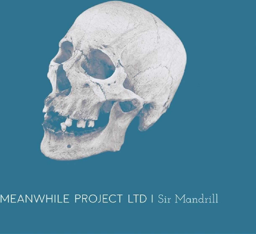 Meanwhile Project Ltd Sir Mandrill LP/Vinyl