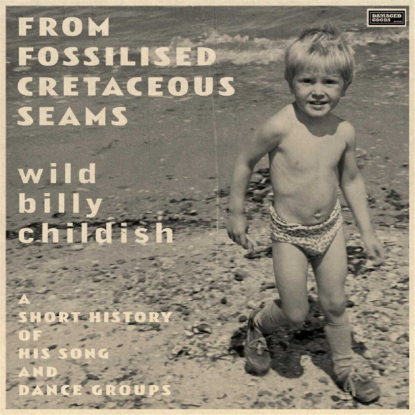 Billy Childish From Fossilised Cretaceous Seams: A Short History Of His Song And Dance Group CD