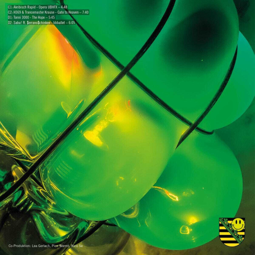 Diverse Trance Sachsentrance x DURCH LP/Vinyl