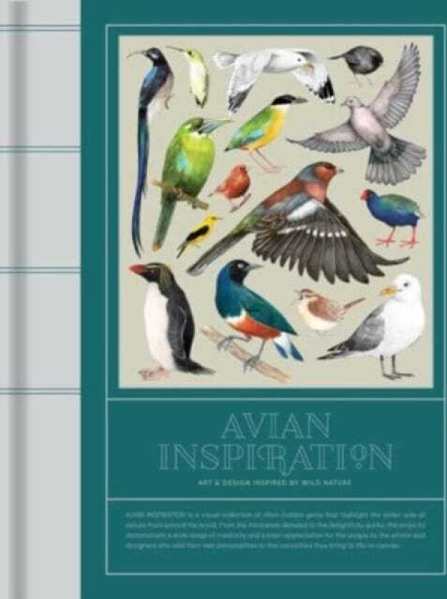 Avian Inspiration Art and Design Inspired by Birds