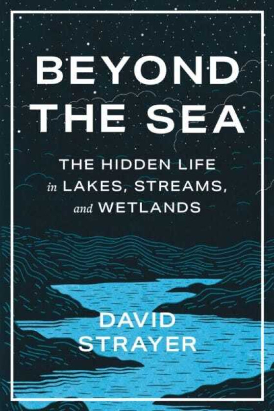 Beyond the Sea The Hidden Life in Lakes, Streams, and Wetlands