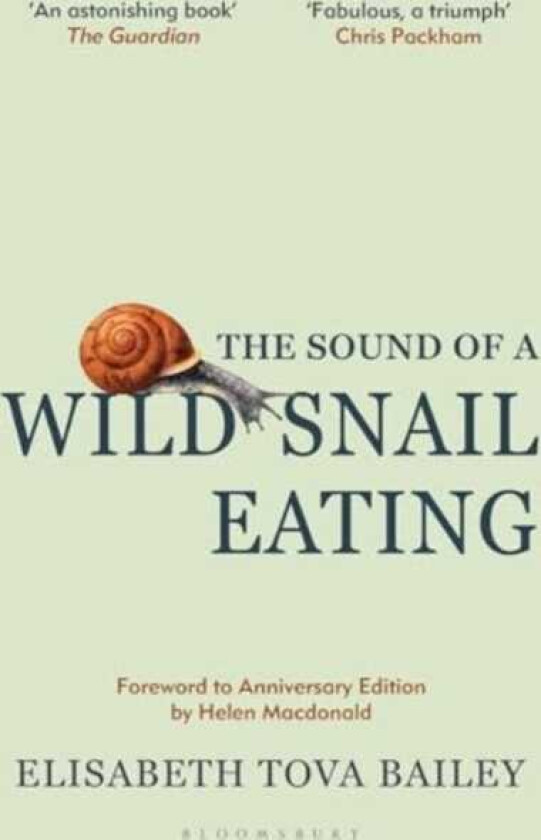 The Sound of a Wild Snail Eating Anniversary Edition