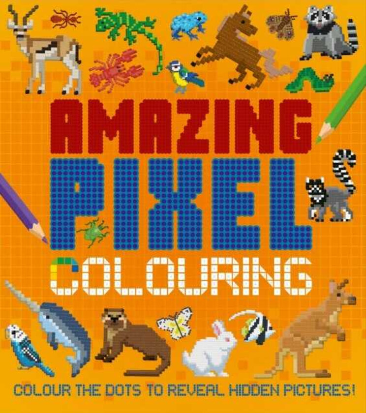 Amazing Pixel Colouring  Colour the Dots to Reveal Hidden Pictures!