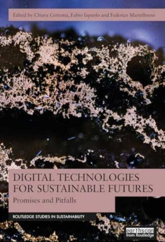 Digital Technologies for Sustainable Futures Promises and Pitfalls