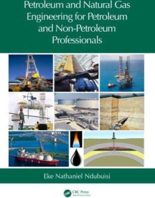 Petroleum and Natural Gas Engineering for Petroleum and NonPetroleum Professionals