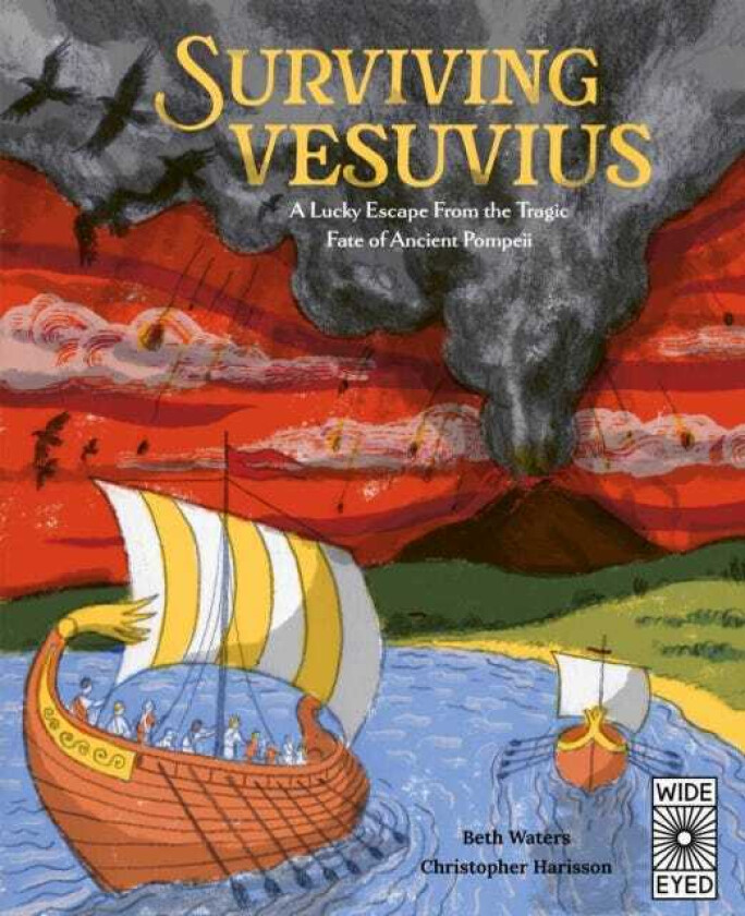 Surviving Vesuvius A Lucky Escape From the Tragic Fate of Ancient Pompeii
