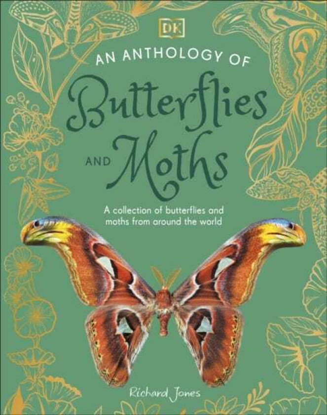 An Anthology of Butterflies and Moths A Collection of Butterflies and Moths from Around the World