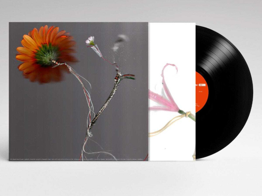 Basile3 43°C LP/Vinyl