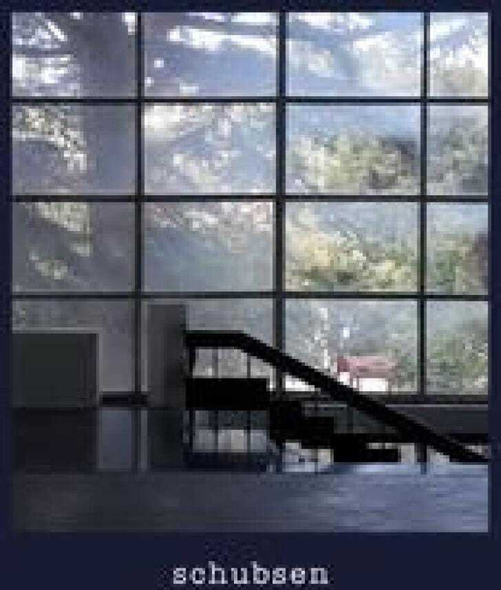 Schubsen Das Öffnen Der Visiere LP/Vinyl