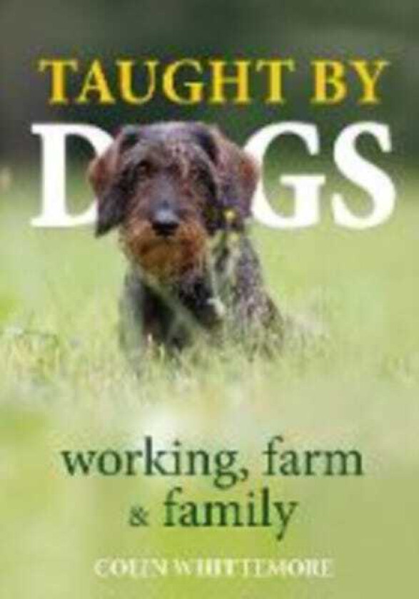 Taught by Dogs working, farm and family