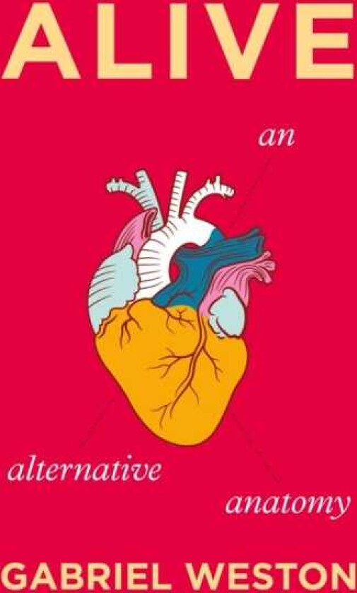 Alive An Alternative Anatomy