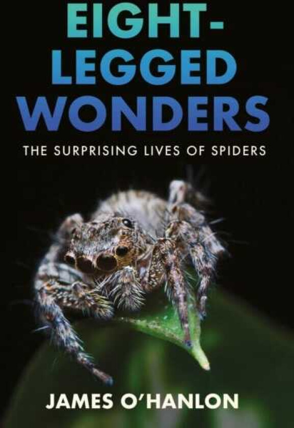 EightLegged Wonders The Surprising Lives of Spiders