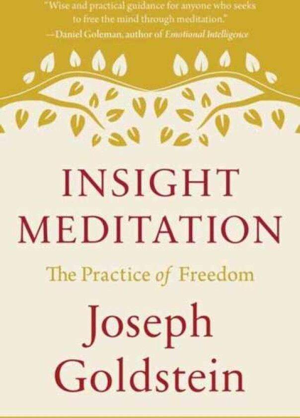 Insight Meditation The Practice of Freedom