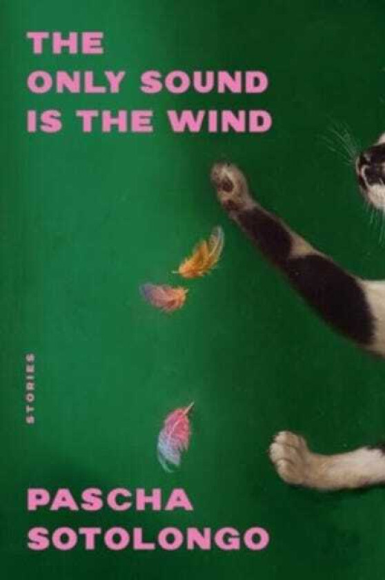 The Only Sound Is the Wind Stories