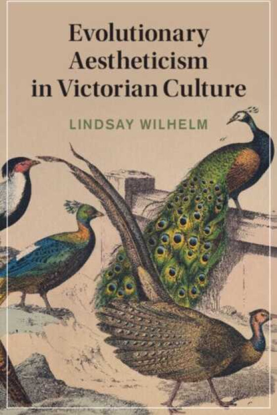 Evolutionary Aestheticism in Victorian Culture