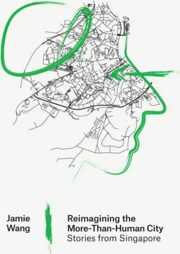 Reimagining the MoreThanHuman City Stories from Singapore