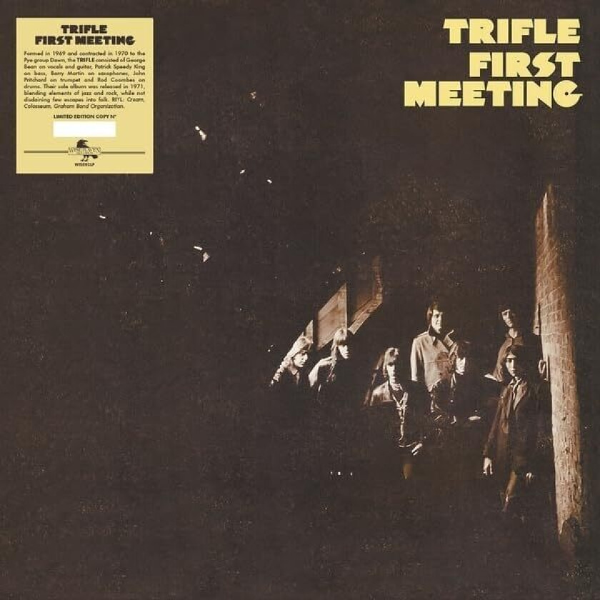 Trifle First Meeting LP/Vinyl