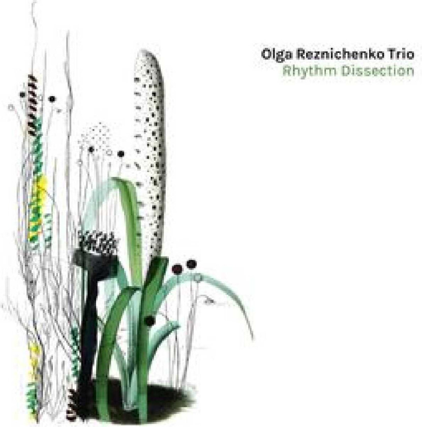 Olga Reznichenko  Rhythm Dissection  CD