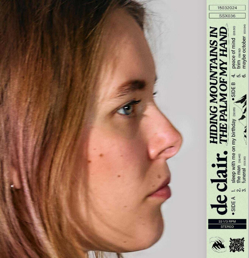 de clair. hiding mountains in the palm of my hand LP/Vinyl