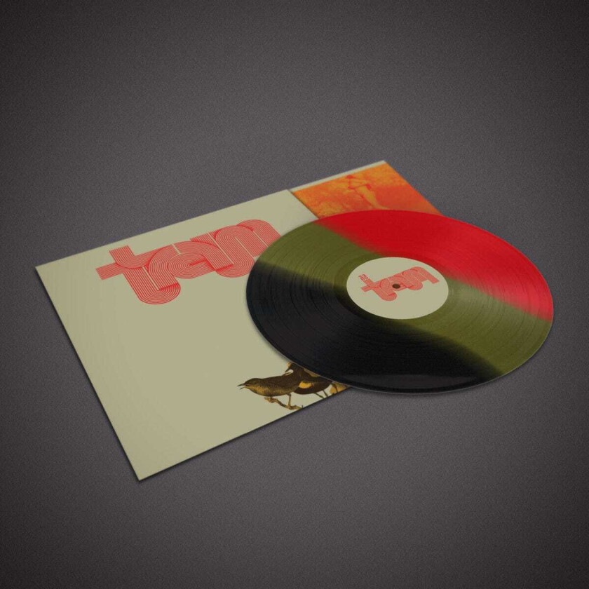Traum Traum LP/Vinyl