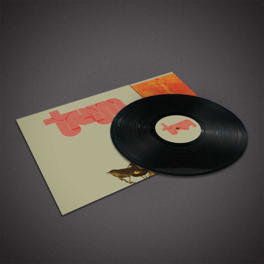 Traum Traum LP/Vinyl