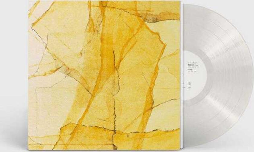 Wadada Leo Smith, Amina Claudine Myers Central Park’s mosaic of reservoir, lake, paths and gardens LP/Vinyl