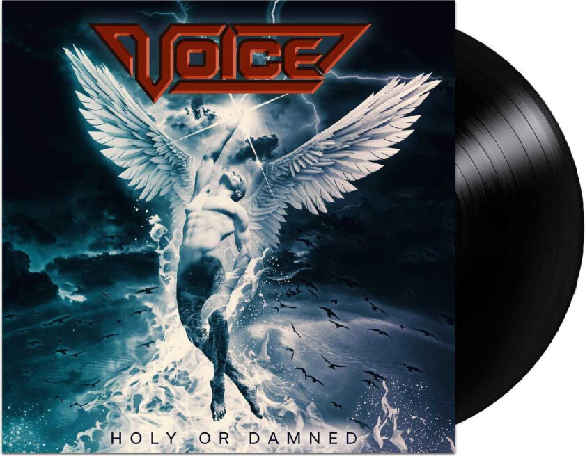 Voice Holy or Damned LP/Vinyl
