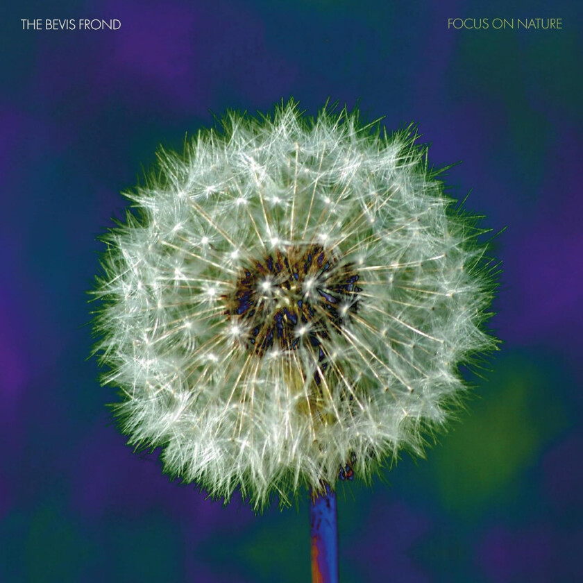 The Bevis Frond Focus on Nature LP/Vinyl