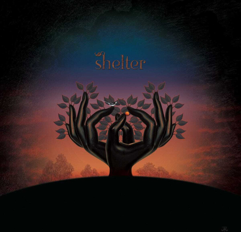 Laughing Stock Shelter LP/Vinyl