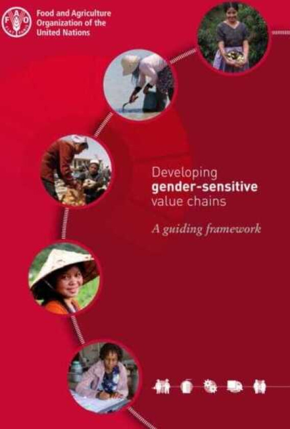Developing gendersensitive value chains a guiding framework