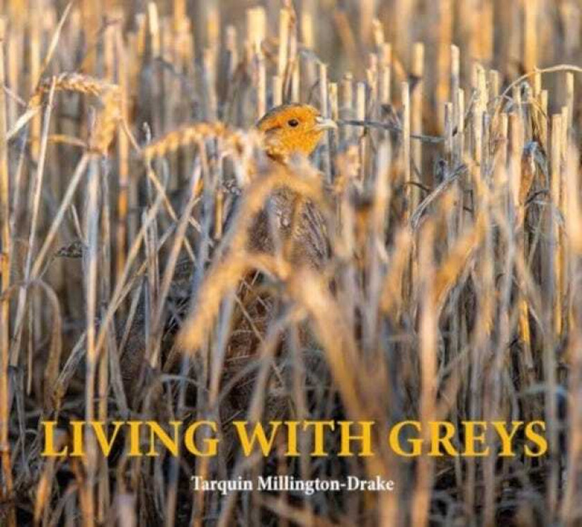 Living with Greys A celebration of the grey partridge