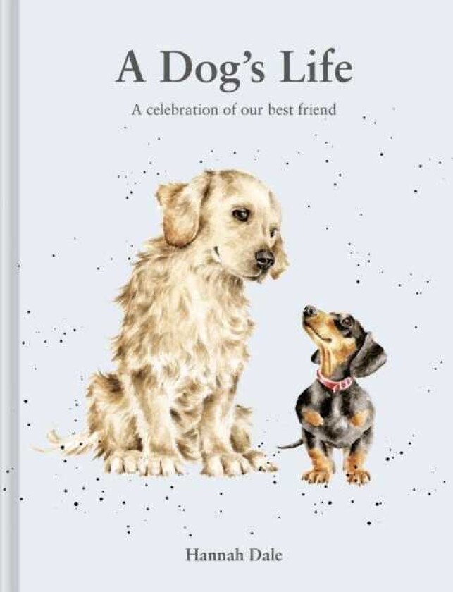 A Dog’s Life A celebration of our best friend