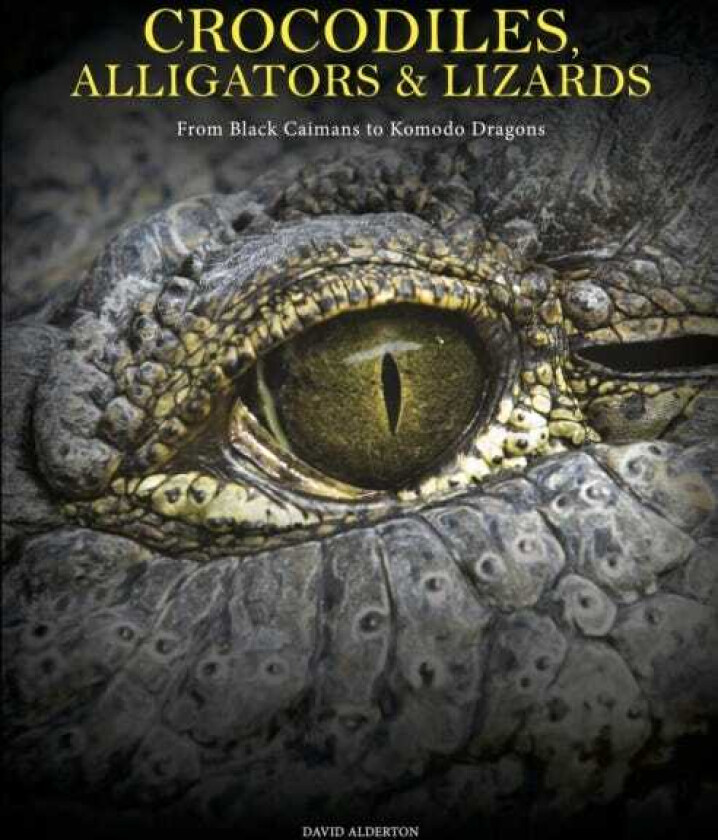 Crocodiles, Alligators & Lizards From Black Caimans to Komodo Dragons