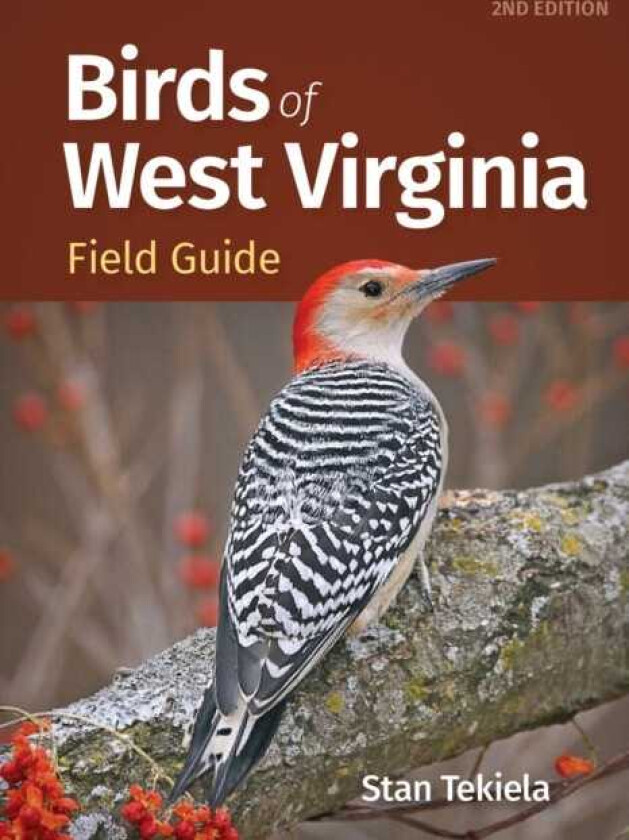 Birds of West Virginia Field Guide