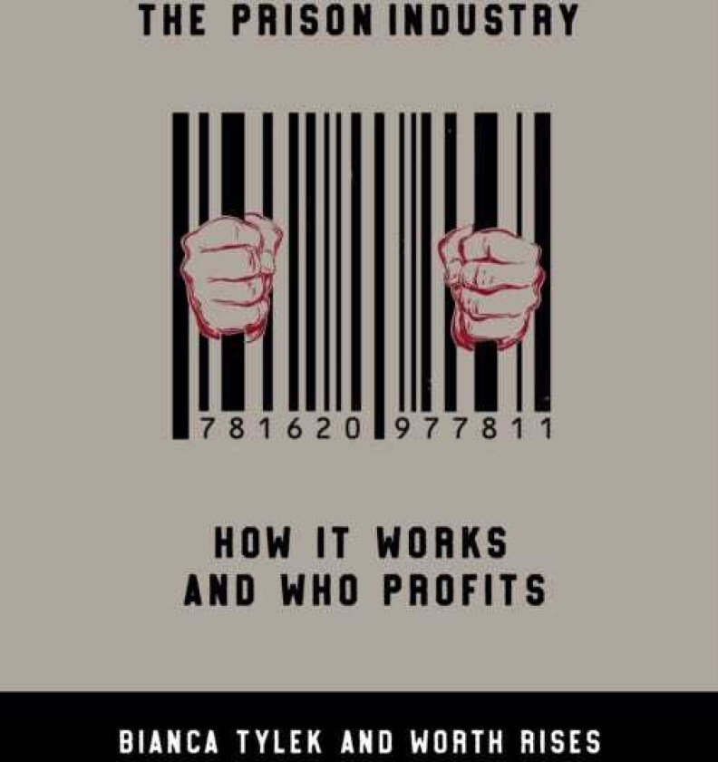 The Prison Industry How It Works and Who Profits
