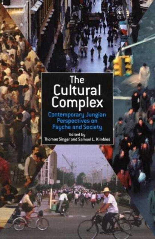 The Cultural Complex Contemporary Jungian Perspectives on Psyche and Society