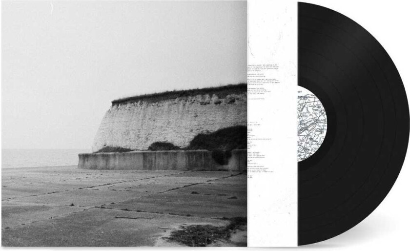 Girls In Synthesis Sublimation LP/Vinyl