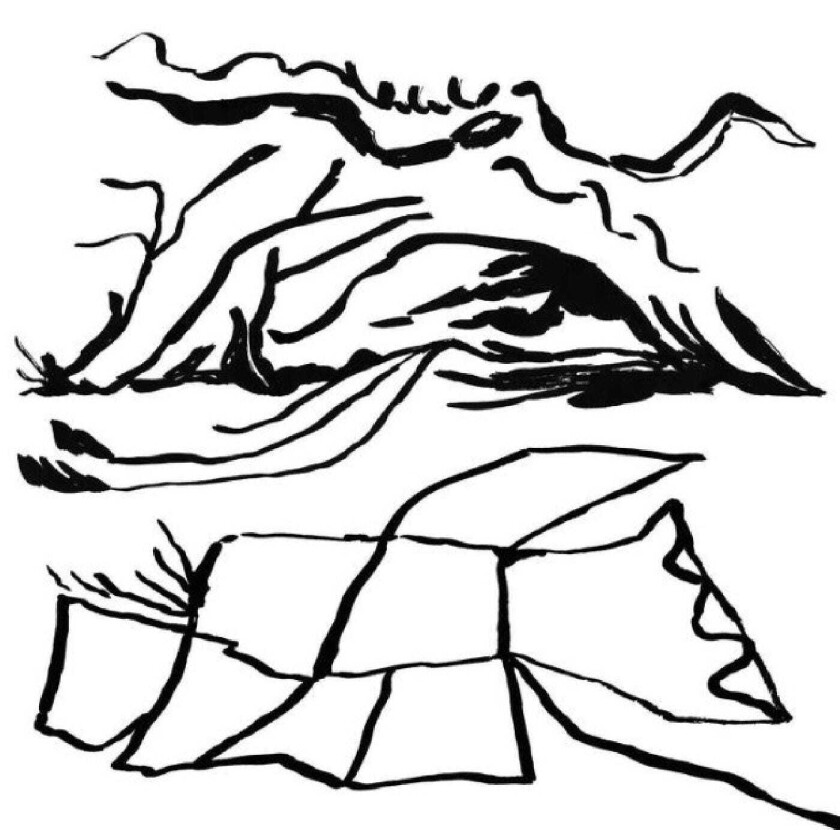 Kiran Leonard Real Home CD