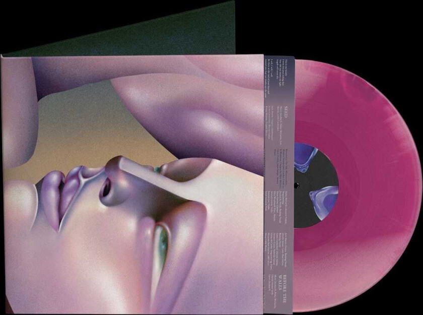 Walt Disco The Warping LP/Vinyl
