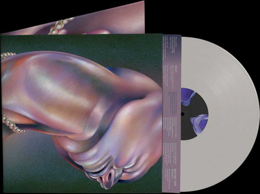 Walt Disco The Warping LP/Vinyl