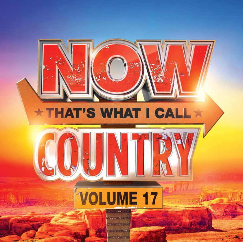 Diverse Country NOW That's What I Call Country 17 CD
