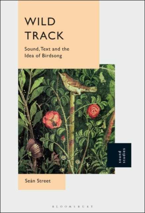 Wild Track  Sound, Text and the Idea of Birdsong