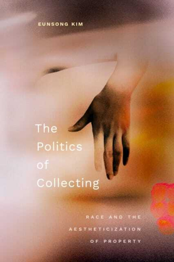 The Politics of Collecting Race and the Aestheticization of Property