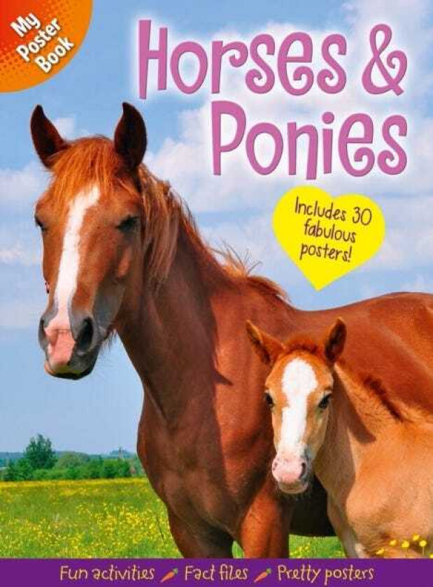 My Poster Book: Horses & Ponies Includes 30 fabulous posters