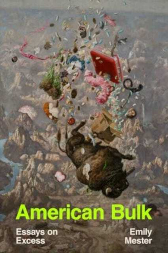 American Bulk Essays on Excess