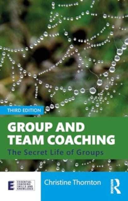 Group and Team Coaching The Secret Life of Groups