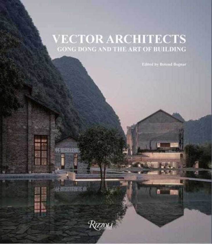 Vector Architects Gong Dong and the Art of Building