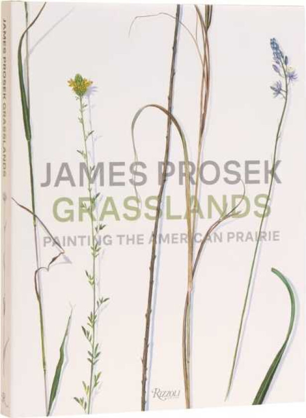James Prosek Grasslands Painting the American Prarie