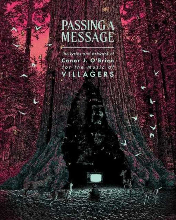 Passing a Message  The lyrics and artwork of Conor J. O’Brien, for the music of Villagers